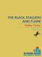 [The Black Stallion 15] • The Black Stallion and Flame